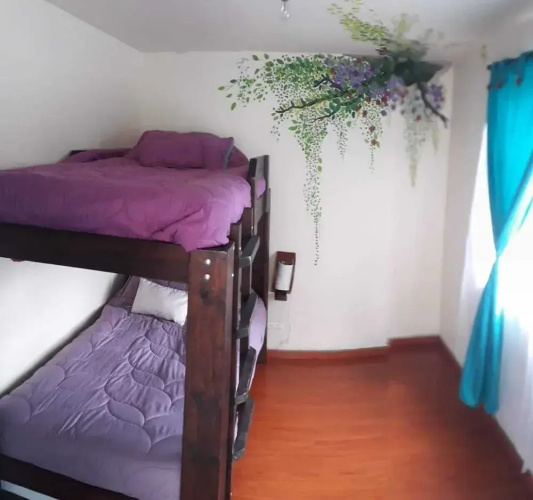 Hostel Casa del Arbol