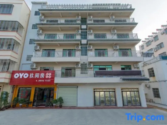 The nineth house hostel