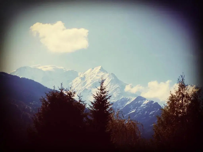 Le petit Chamois