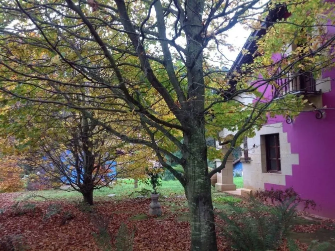 2 Bedrooms Duplex Apartment