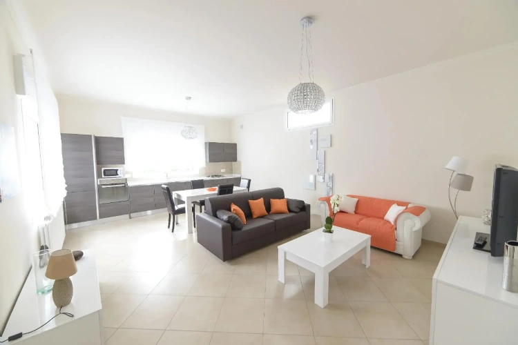 Luxury Apartment