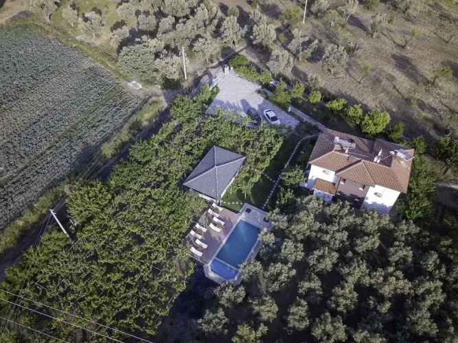 Grape Datça