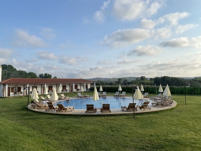Standard Twin room with pool view