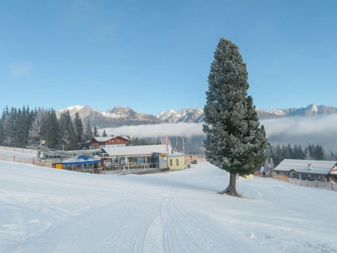 Chalet