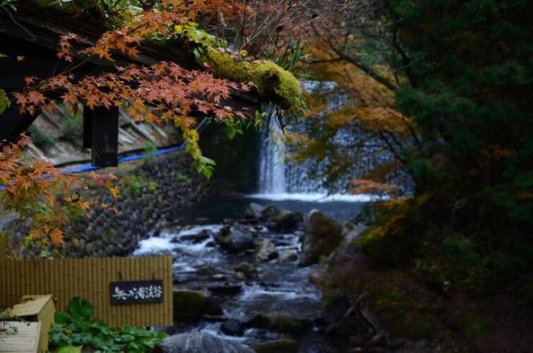 Ryokan OkunoyuOver view