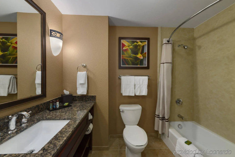 Embassy Suites Orlando - Lake Buena Vista South photo 10