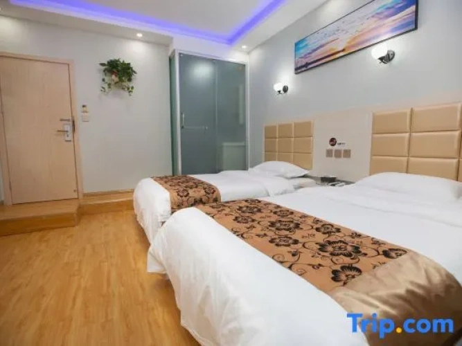 Standard Twin room with view
