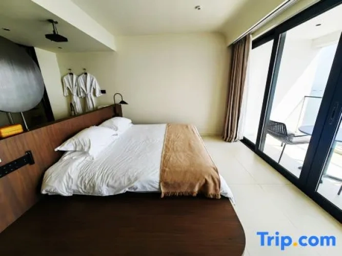 Standard Double room with balcony and with sea view