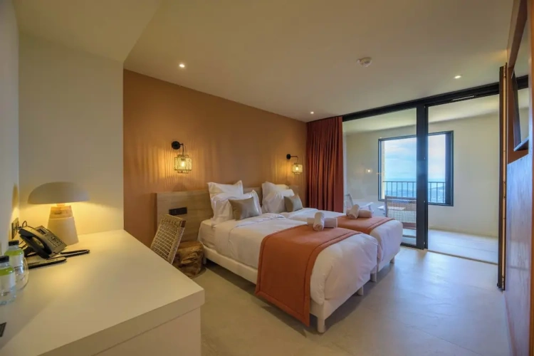 Standard Twin room with balcony and with sea view