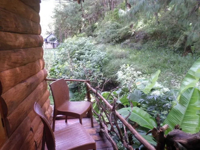 Chalet with balcony and with view