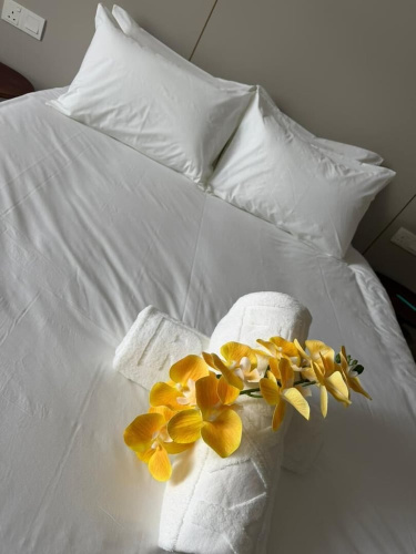 Roxy Hotel & Apartment Lawas