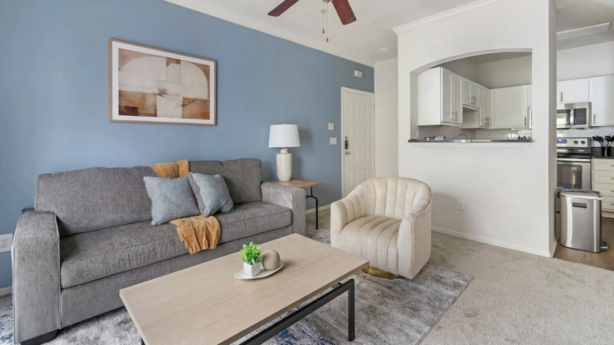 1 Bedroom Apartment