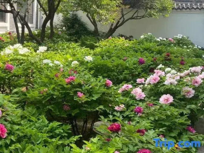 Cherry Garden Hotel