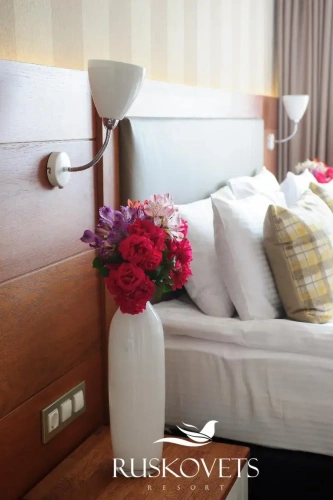Standard Junior Suite