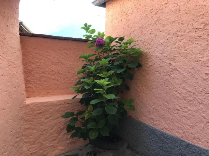 2 Bedrooms Double Cottage