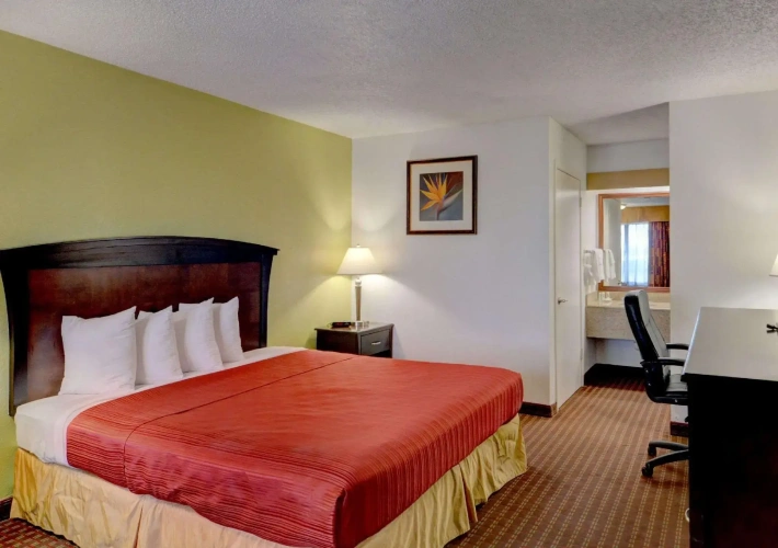 Standard Double room