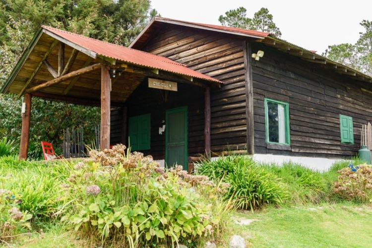 Standard Quadruple room with garden view