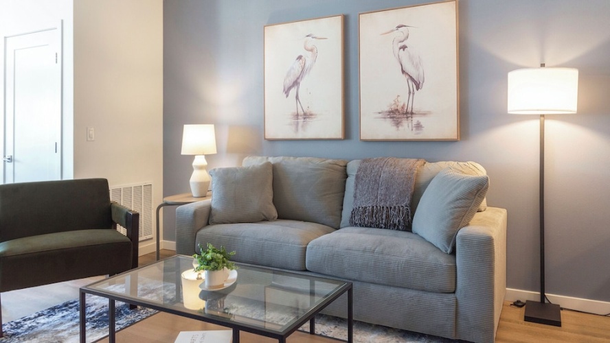 1 Bedroom Apartment