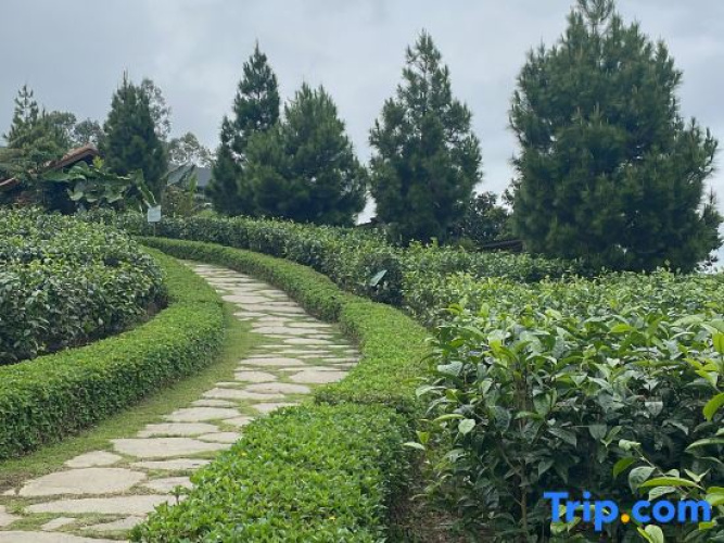 Dusun Bedugul Asri