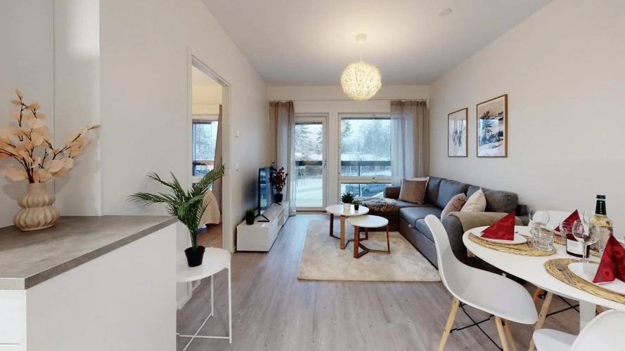 Apartment Scandinavia IV