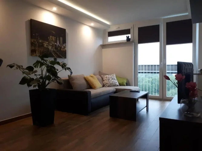 1 Bedroom Apartment with view