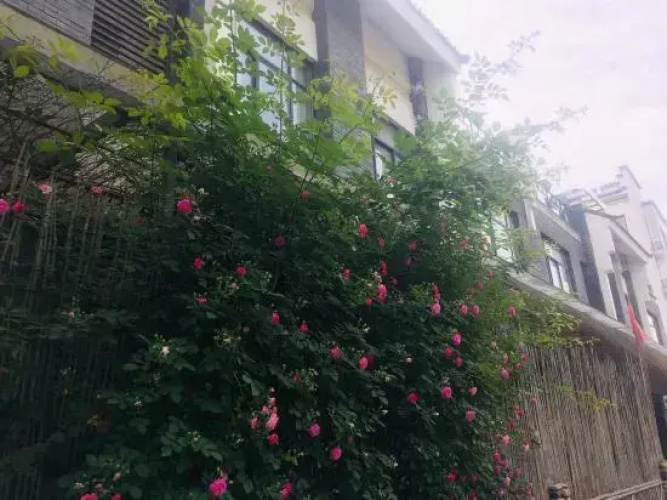 Jiangyuan Impression Guesthouse