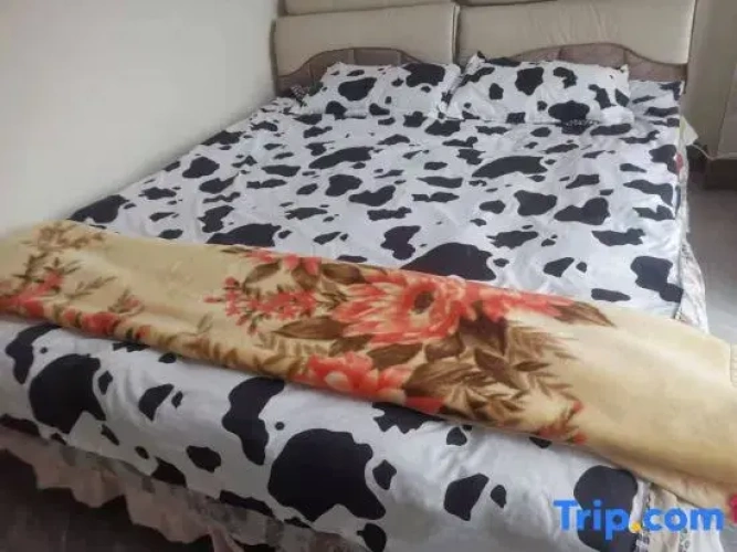 5 Bedrooms Suite