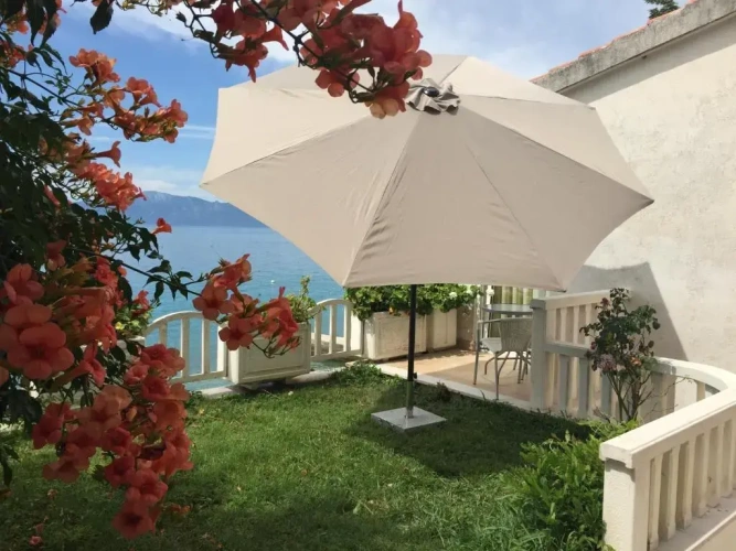 Studio
