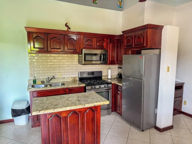 Deluxe Apartment