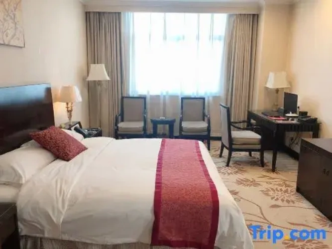 Single Suite