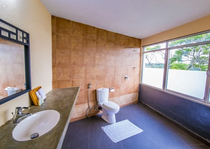 1 Bedroom Deluxe Double room with balcony and with lake view