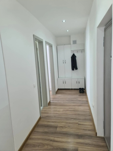 The Best Apartment