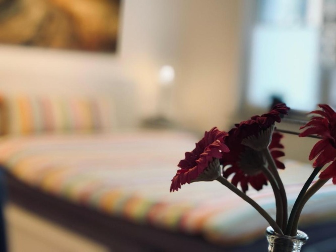 1 Bedroom Double Bungalow