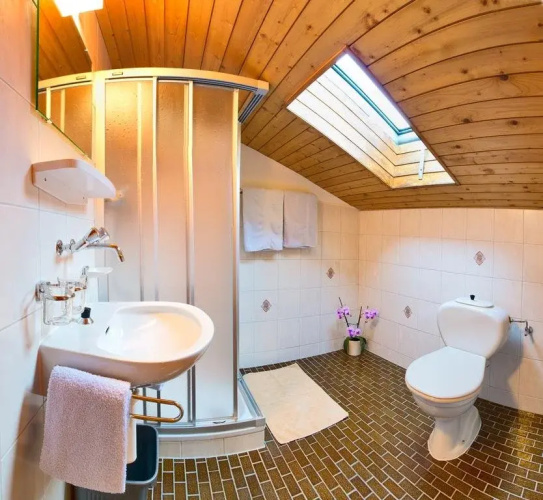 Hotel Adler