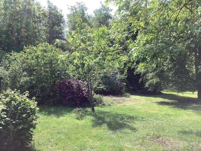 Outside