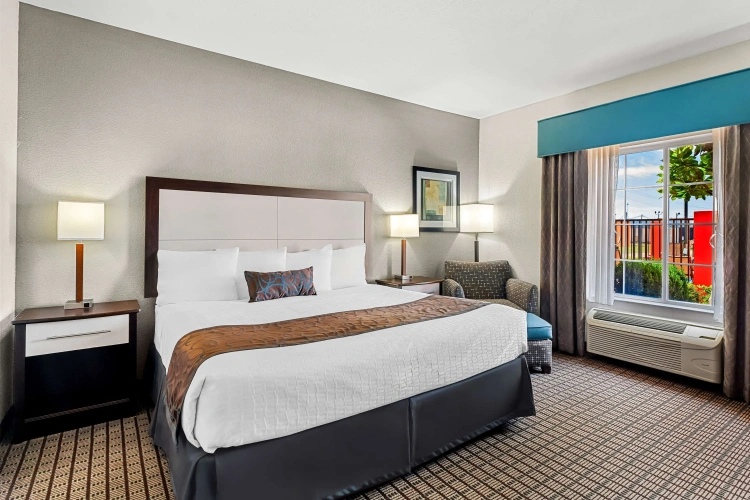 Standard Double room