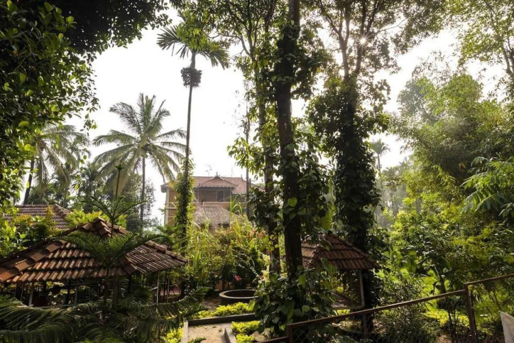 Little Home Resort