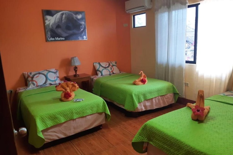Standard Double room with balcony and with view