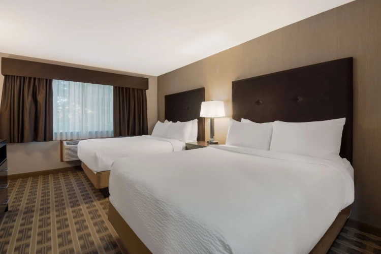 Quadruple Suite