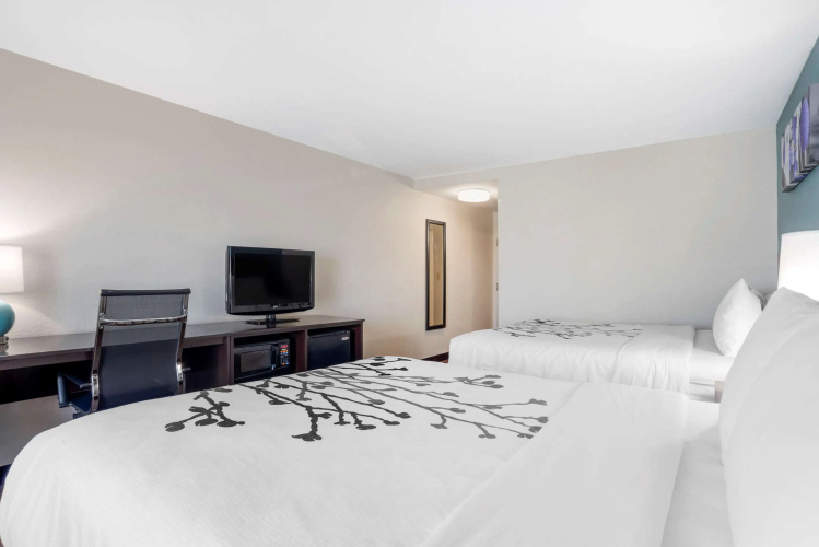 Sleep Inn & Suites Auburn Campus Area I-85