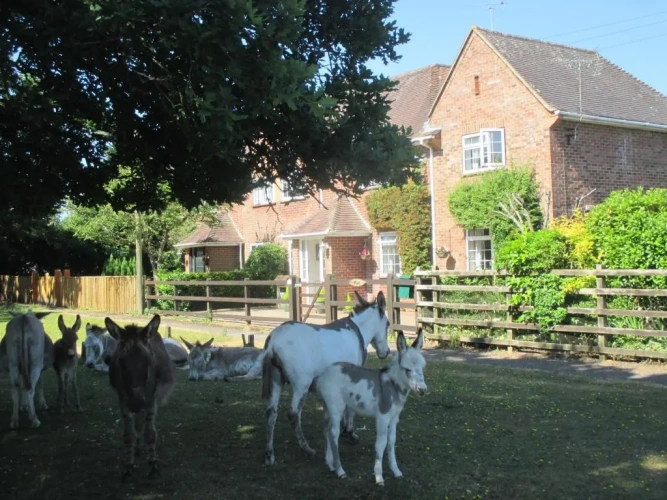 3 Bedrooms Cottage