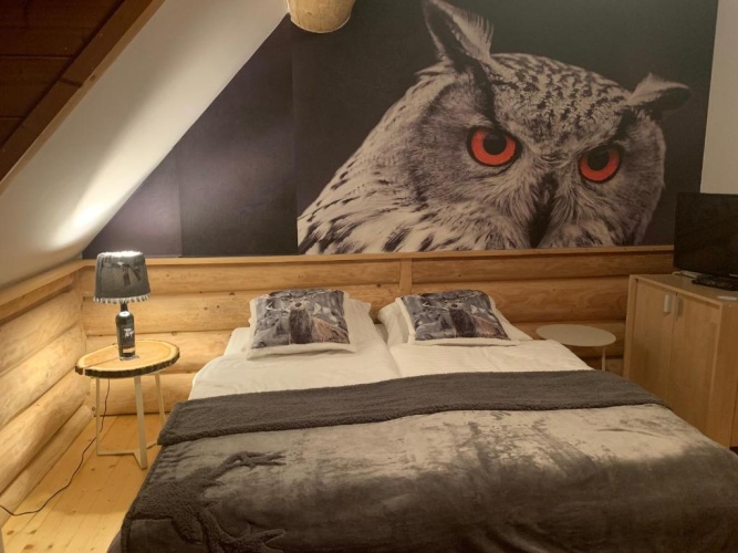 Standard Double room with lake view
