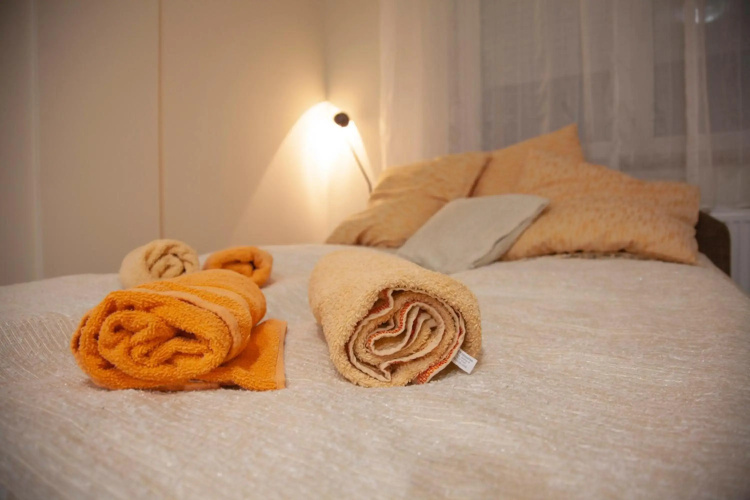 Apartment Vas Raj