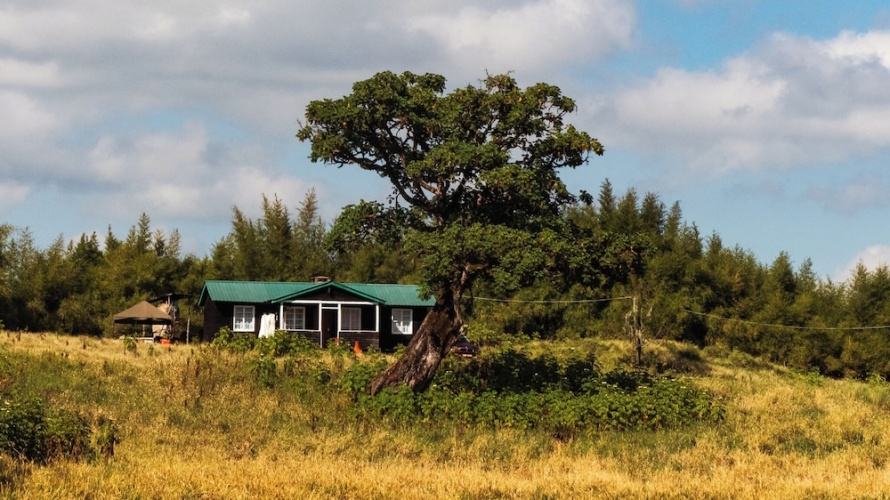 Executive Cottage