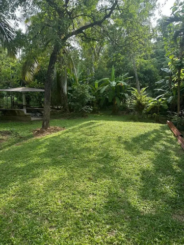 Airport Green Villa