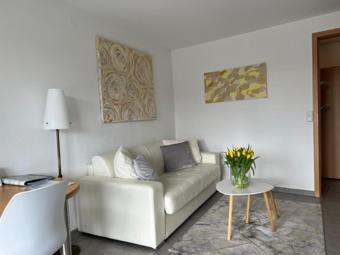 Apartment with garden view