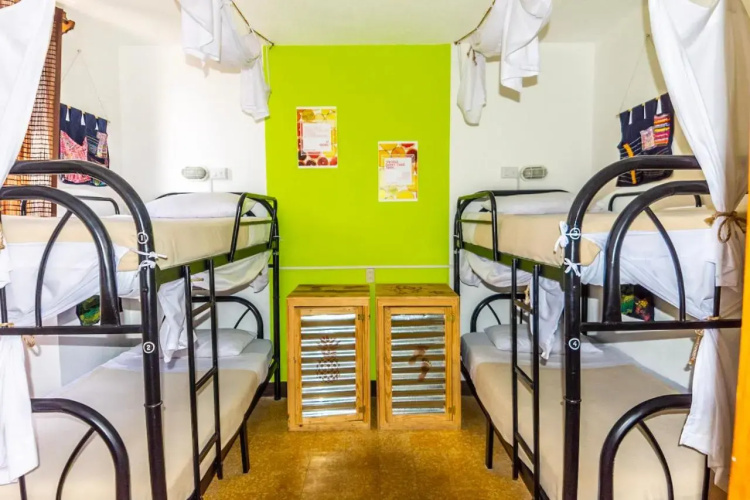 The Purpose Hostel