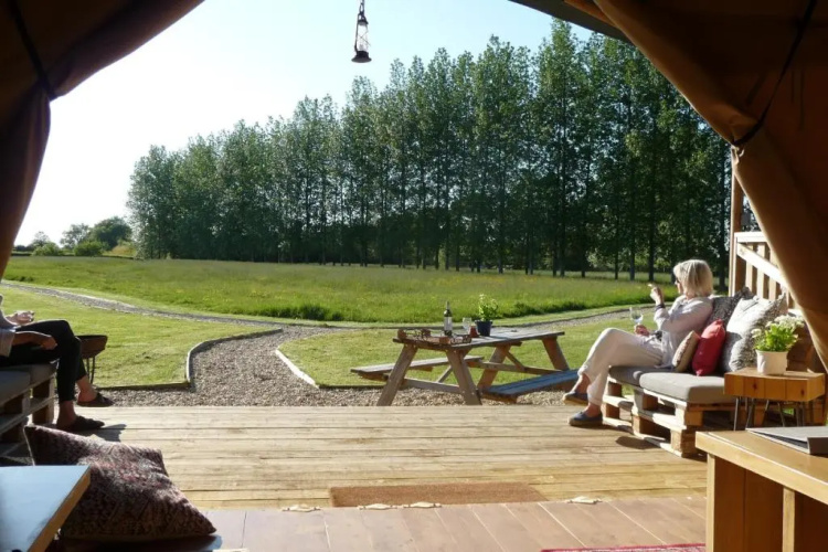 Tall Trees Glamping
