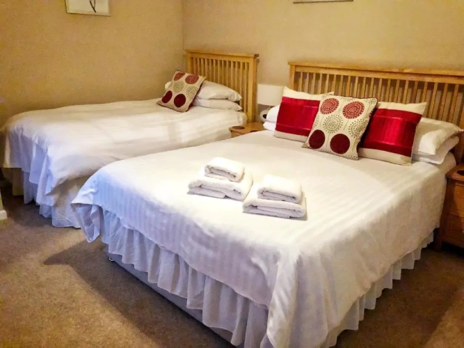 Standard Twin room