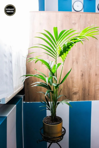 Elegant Hostel  Apartments